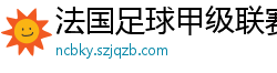 法国足球甲级联赛